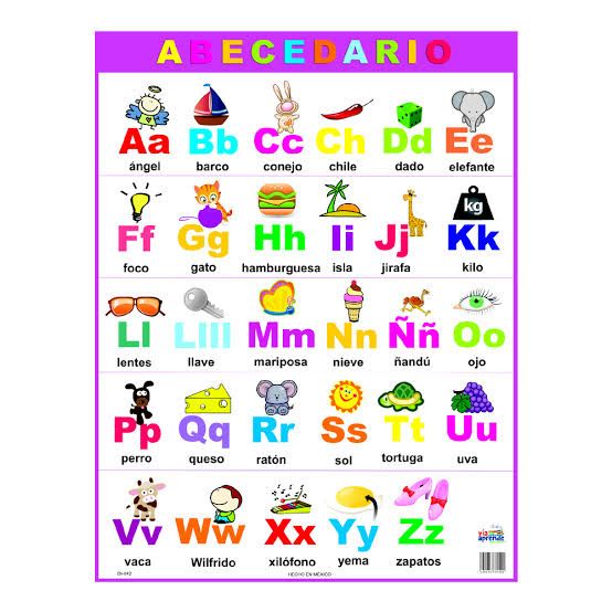 WhatsApp Image 2025-12-19 at 4.38.15 PM