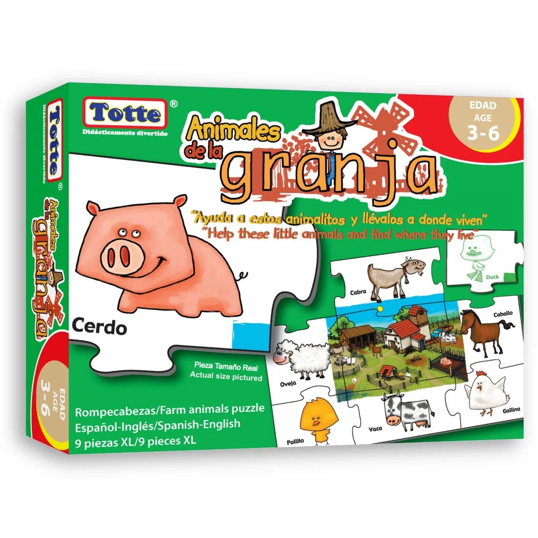 WhatsApp Image 2026-02-02 at 12.04.44 PM