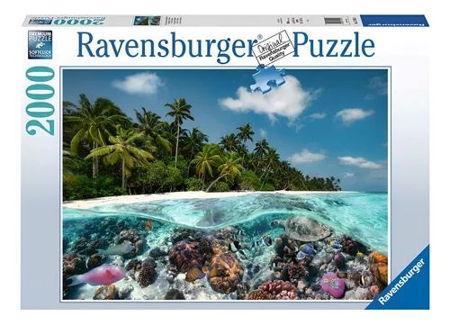 WhatsApp Image 2026-02-09 at 2.37.53 PM