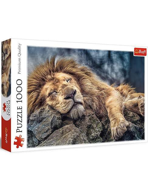 WhatsApp Image 2026-02-28 at 4.48.09 PM