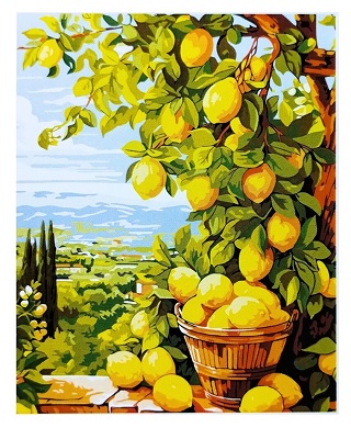 Diseño sin título - 1